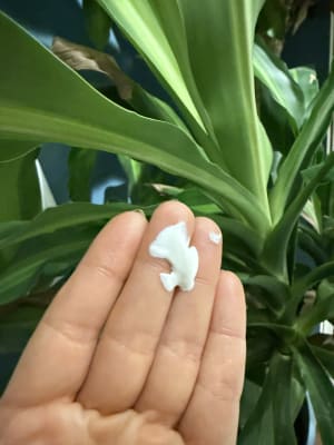 View Gallery Image #2