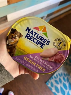 Nature s Recipe Grain Free Chicken Lamb in Broth Dog Food