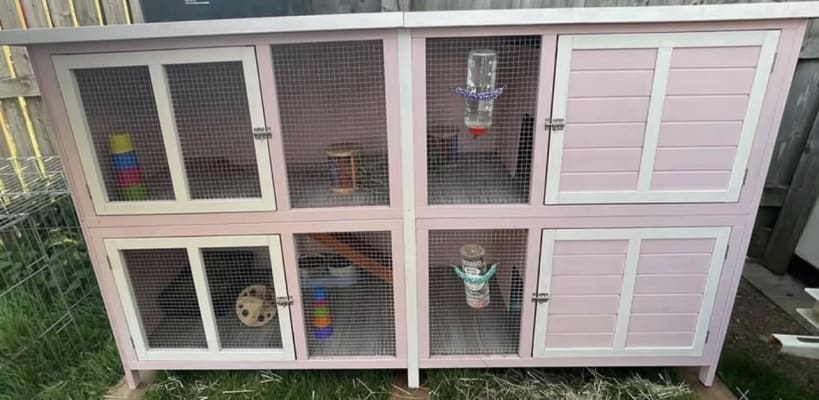 Bluebell hideaway hutch for rabbits and guinea pigs sale