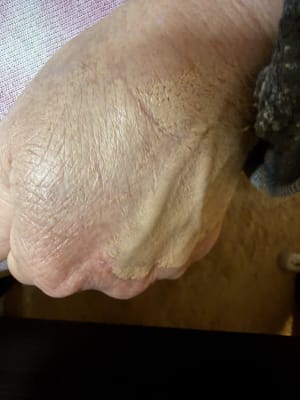 View Gallery Image #11