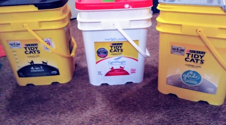 big lots kitty litter