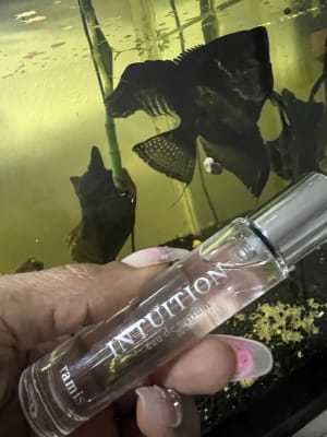 View Gallery Image #7