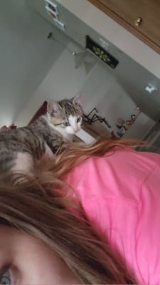 View Gallery Image #6