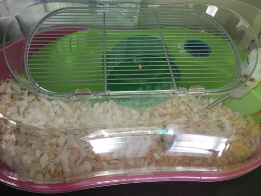 Spelos hamster cage hot sale