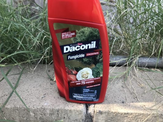 Keep fungal disease out of your garden - Daconil® Fungicide ...