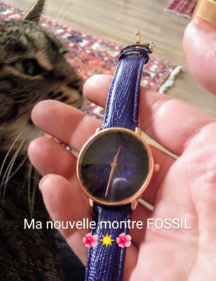 Montre Prismatic Galaxy en cuir violet à trois aiguilles - ES4727 - Watch  Station