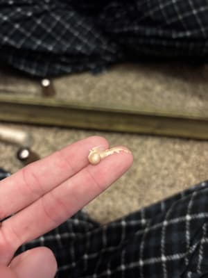 View Gallery Image #7