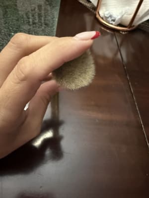 View Gallery Image #1