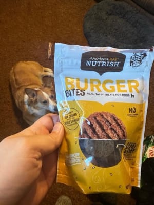 Nutrish burger bites online
