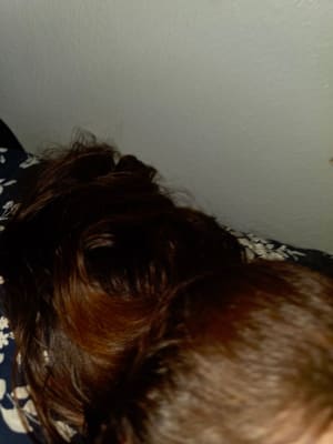 View Gallery Image #4