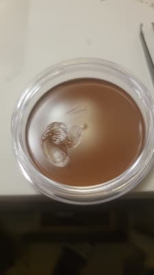 View Gallery Image #5