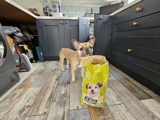 BETA Adult Small Breed Dry Dog Food Chicken 2kg Pets At Home