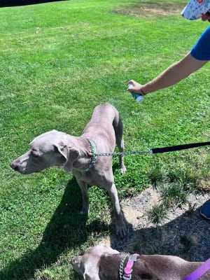 View Gallery Image #2