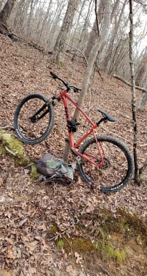 Talon 2 (2021) | Trail bike | Giant 