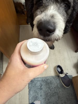 View Gallery Image #3