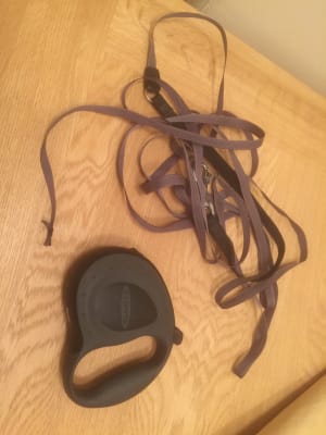 Flippy tech extending cheap lead
