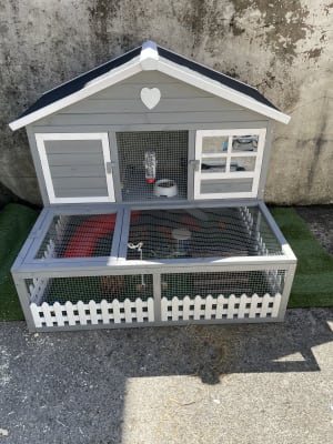 Pets at shop home hutches