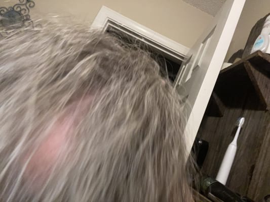 View Gallery Image #4