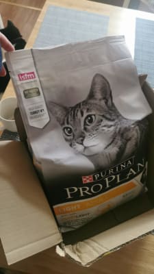 Pro plan store light cat