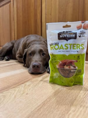 Rachael ray nutrish savory roasters 2025