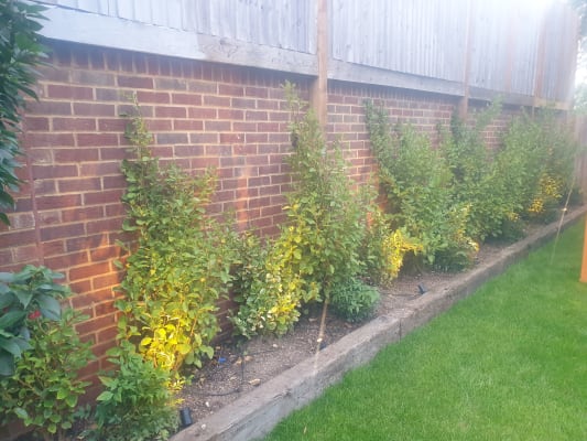 Wickes ellumiere cheap