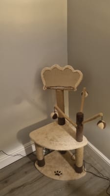 Avery ascent cat scratch tower discount