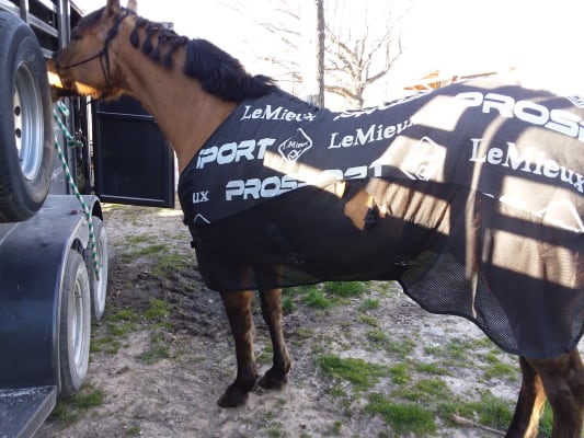 Lemieux - Carbon Cooler Rug - Black - 6'3