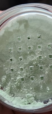 View Gallery Image #1