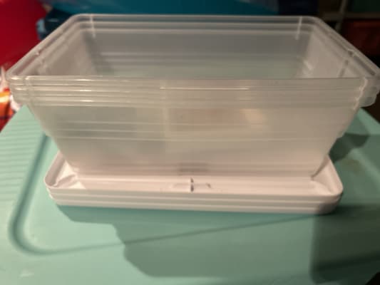 Yarebest 6-Pack 6 Quart Clear Plastic Storage Bins, Storage Box with Lids