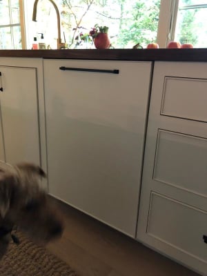 shv863wd3n panel size