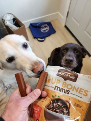 Best bones for chihuahuas 2025
