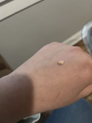 View Gallery Image #5