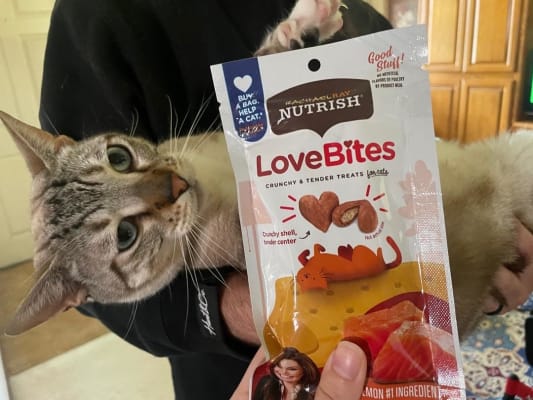 Rachel ray cat treats online