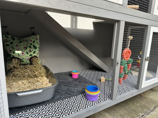 Pets at clearance home hutches