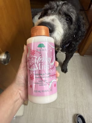 View Gallery Image #4