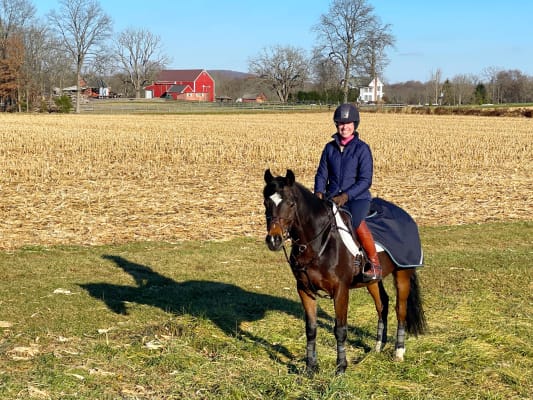 Gilet équestre Matelassé Femme Riding Sport By Dover Saddlery, Vert, Taille XL