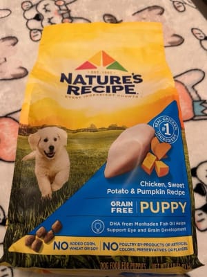 Nature's recipe puppy food online