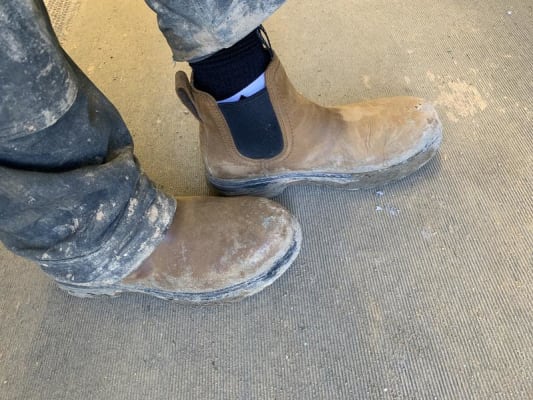 Cabelas blundstone online