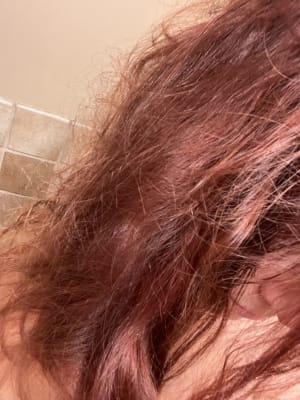 View Gallery Image #14