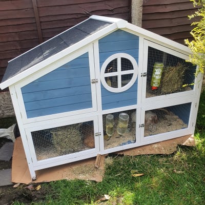 rabbit hutch blue