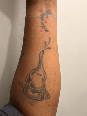 View Gallery Image #4