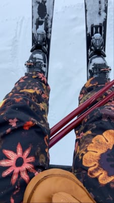 The North Face Freedom Insulated Ski Bib (Women's)