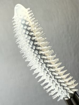 View Gallery Image #3