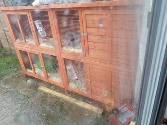 Pets at Home Bluebell Guinea Pig and Rabbit Hideaway Hutch X Large