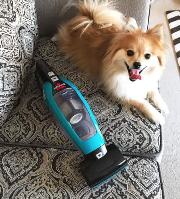 PowerClean Pet Lithium Ion Cordless Hand Vac 2389D Bissell