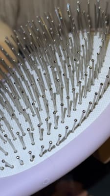 View Gallery Image #13