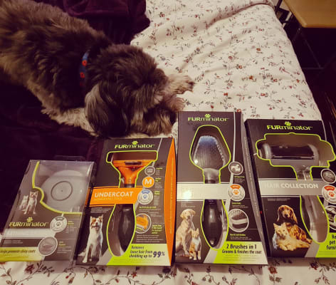 Furminator pets hot sale at home