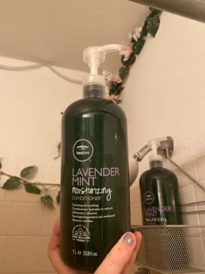 View Gallery Image #7