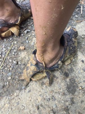 Teva forebay review outlet