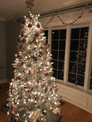 Big lots silver christmas tree